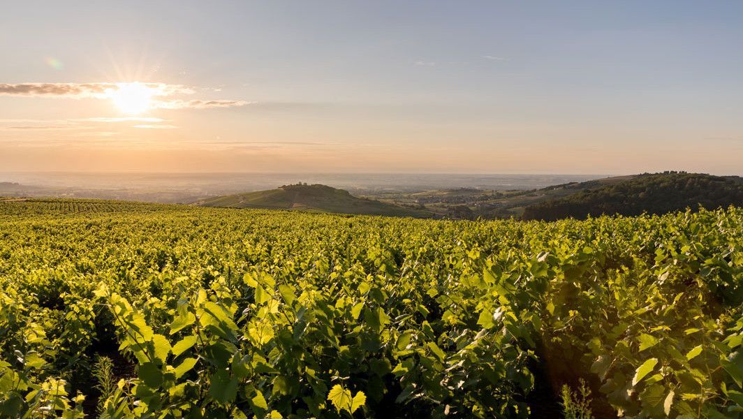 mont-brouilly